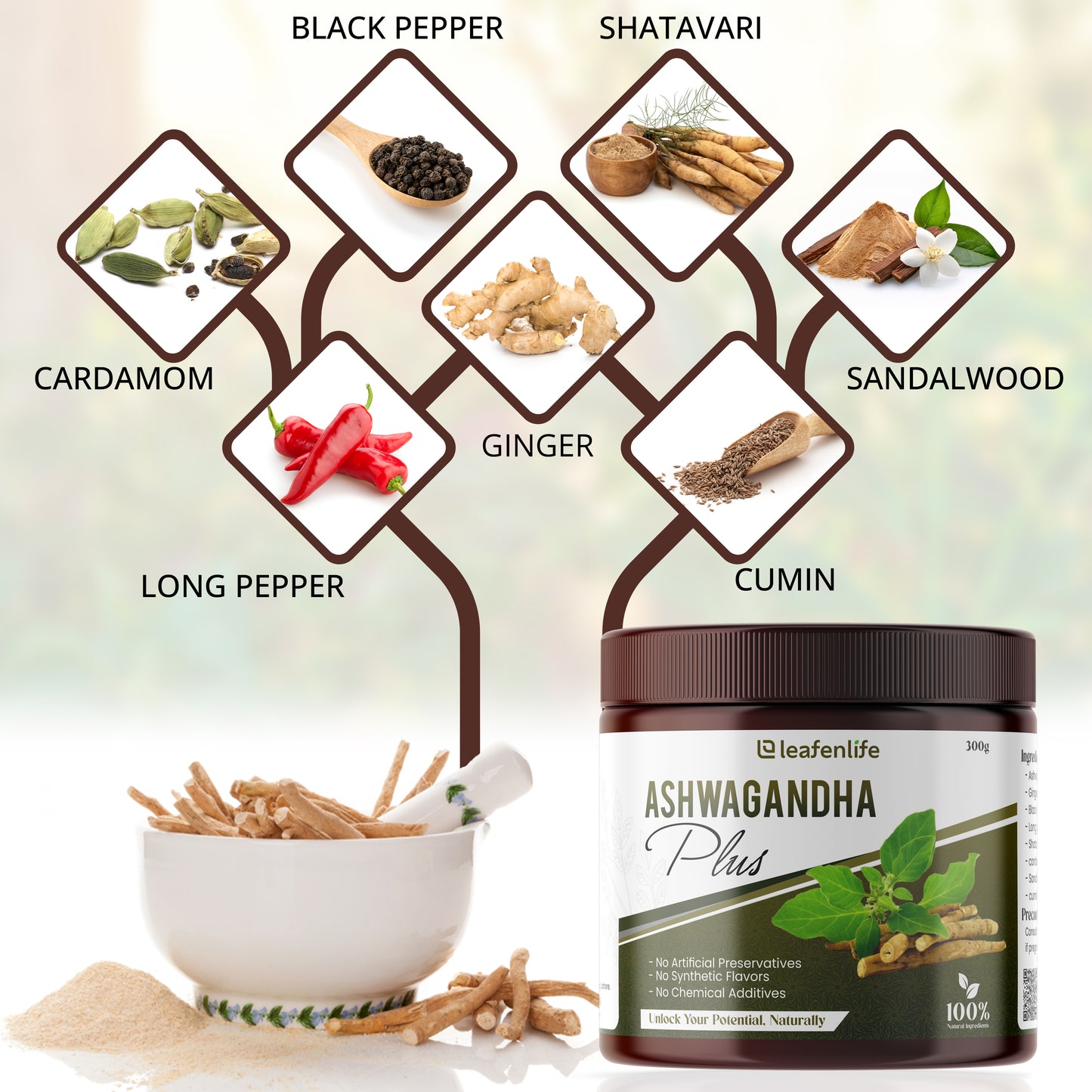 Ashwagandha Plus - Organic Stress Relief and Energy Booster